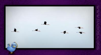 post-2364-065816400 1314166832_thumb.jpg