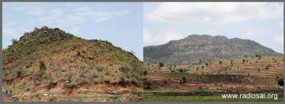 post-2364-073920100 1312523930_thumb.jpg