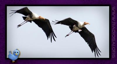 post-2364-074803800 1314166789_thumb.jpg