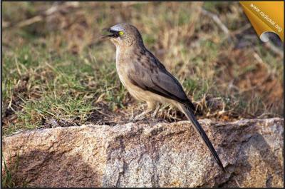 post-2364-077607600 1312786621_thumb.jpg