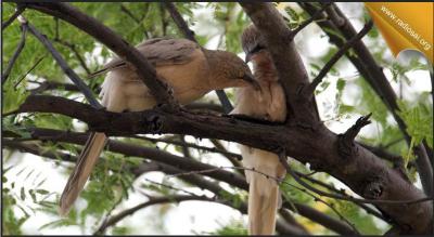 post-2364-082839300 1312786738_thumb.jpg