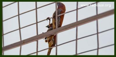 post-2364-090006800 1314434514_thumb.jpg