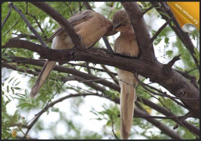 post-2364-095682700 1312786860_thumb.jpg