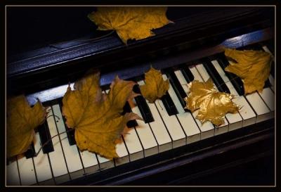 post-2986-087305200 1312487542_thumb.jpg