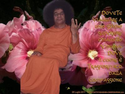 post-3333-027604500 1313056287_thumb.jpg