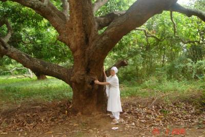 post-3333-055653600 1314265829_thumb.jpg