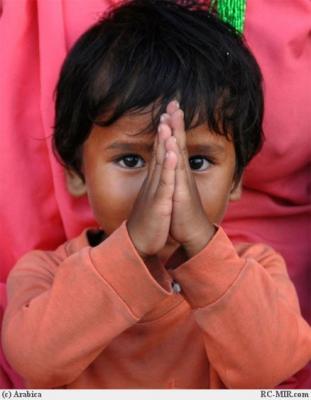 post-6833-041227100 1313431251_thumb.jpg