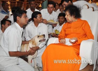 post-3791-048272300 1283700783_thumb.jpg