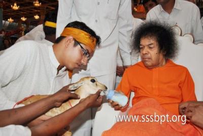 post-3791-078023100 1283700807_thumb.jpg