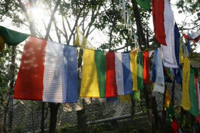 post-412-006462200 1284603244_thumb.jpg