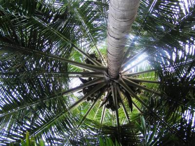 post-412-032607200 1284604583_thumb.jpg