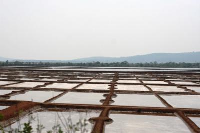 post-412-053878500 1284604115_thumb.jpg