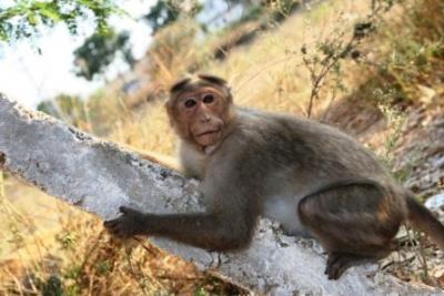 post-412-055807400 1284604097_thumb.jpg