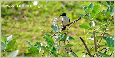 post-2364-012854400 1316073380_thumb.jpg