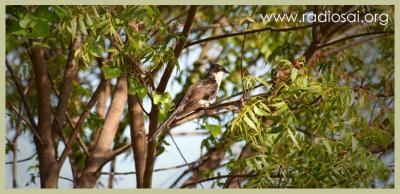 post-2364-016434300 1316073265_thumb.jpg