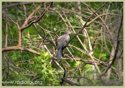 post-2364-023728500 1316073466_thumb.jpg