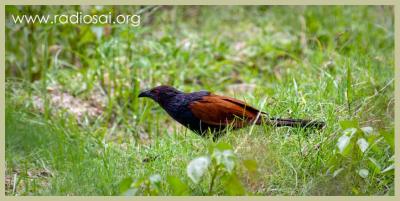 post-2364-035568000 1316073552_thumb.jpg