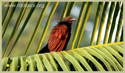 post-2364-066738300 1316073600_thumb.jpg