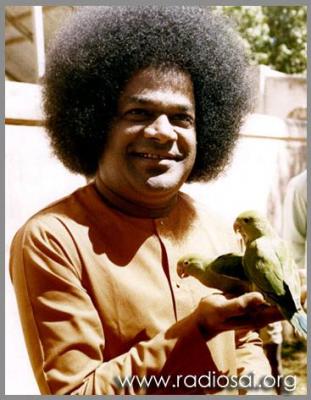 post-2364-079926100 1316073310_thumb.jpg