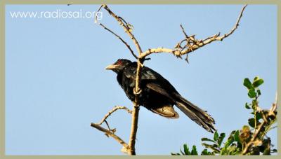 post-2364-084172200 1316073437_thumb.jpg