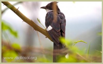 post-2364-084689900 1316073287_thumb.jpg