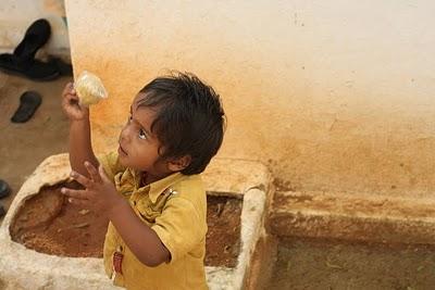 post-2364-037079900 1287226663_thumb.jpg