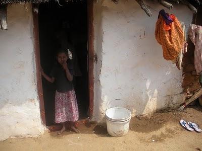 post-2364-038211800 1287226431_thumb.jpg