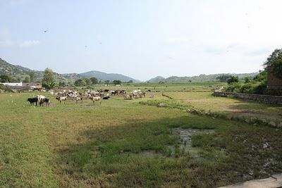 post-2364-054224200 1287302530_thumb.jpg