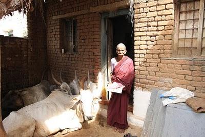 post-2364-071552600 1287226776_thumb.jpg