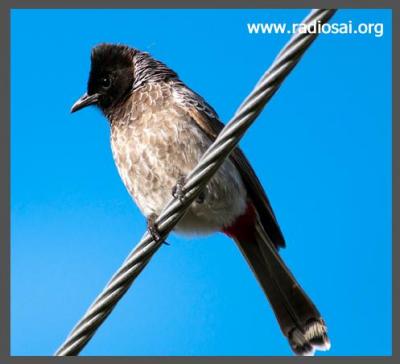 post-2364-029569000 1318352051_thumb.jpg