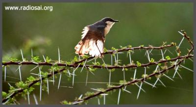 post-2364-035037300 1318352165_thumb.jpg