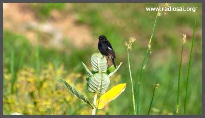 post-2364-056226400 1318351915_thumb.jpg