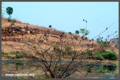 post-2364-064651100 1318352024_thumb.jpg