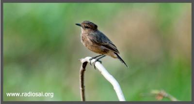 post-2364-068211100 1318351930_thumb.jpg