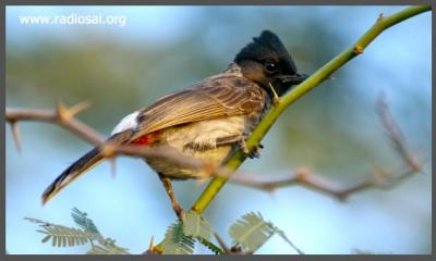 post-2364-071378200 1318352105_thumb.jpg