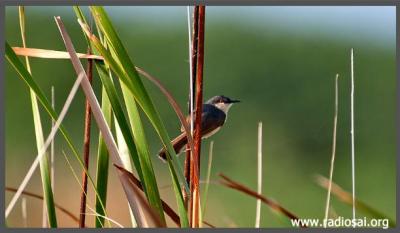 post-2364-099639300 1318352135_thumb.jpg