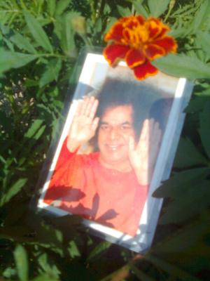 post-2514-056724100 1317556509_thumb.jpg