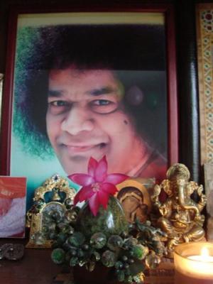 post-2514-076408200 1317642083_thumb.jpg