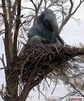 post-3333-024400800 1317709054_thumb.jpg