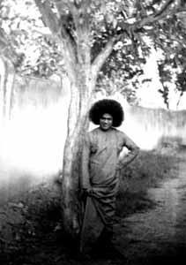 post-3333-067877100 1319026656_thumb.jpg