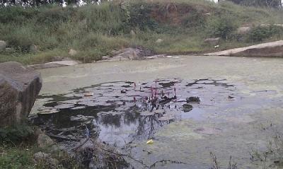 post-4619-005588200 1319631758_thumb.jpg