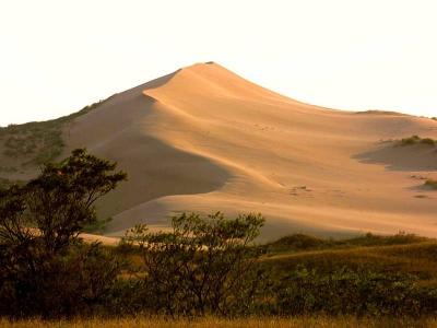 post-4739-034019000 1318878872_thumb.jpg