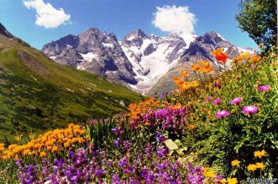 post-4739-051633700 1318878885_thumb.jpg