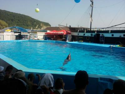 post-4739-089536700 1318881950_thumb.jpg