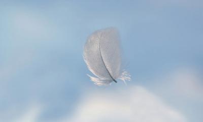 post-6963-039194700 1318422359_thumb.jpg