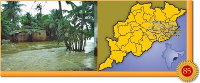 post-2364-003935000 1289845370_thumb.jpg