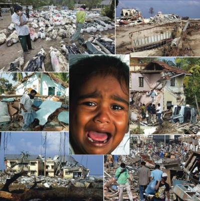 post-2364-015197700 1289754198_thumb.jpg