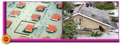 post-2364-021929700 1289753762_thumb.jpg