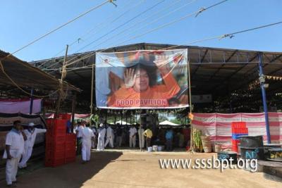 post-2364-025995700 1290494548_thumb.jpg