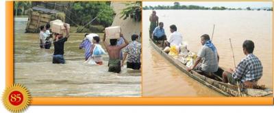 post-2364-035210500 1289845546_thumb.jpg